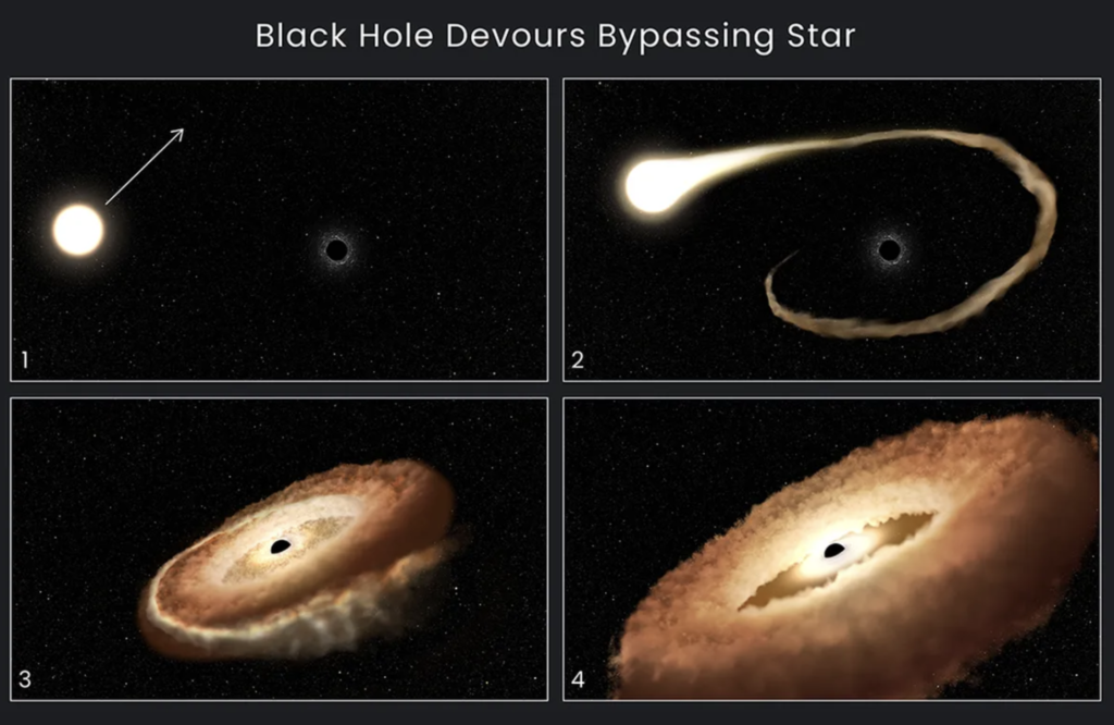 Massive Black Hole Devouring a Star